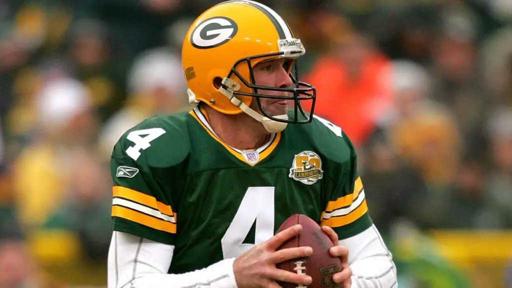Green Bay Packers quarterback Brett Favre fades back in the pocket against the Detroit Lions
